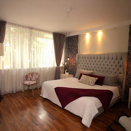 Habitacion Morada Luna Condesa 6